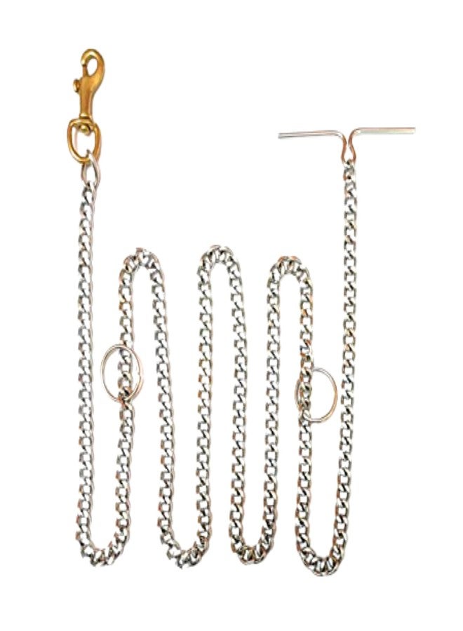 VetSafe Chain Leash - Image 2
